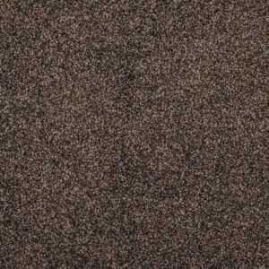 Carpet | Solution Dyed Nylon | John Jarvis Carpet & Flooring